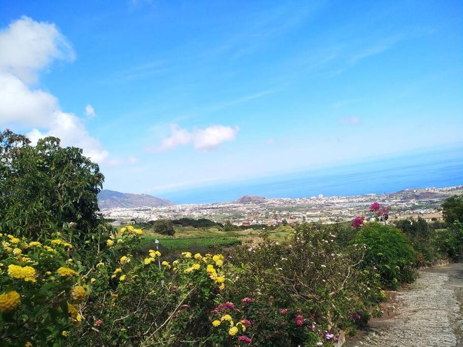 Apartment With Huge Deck Nestled In Marvelous Gardens - Nidos La Orotava Exterior foto