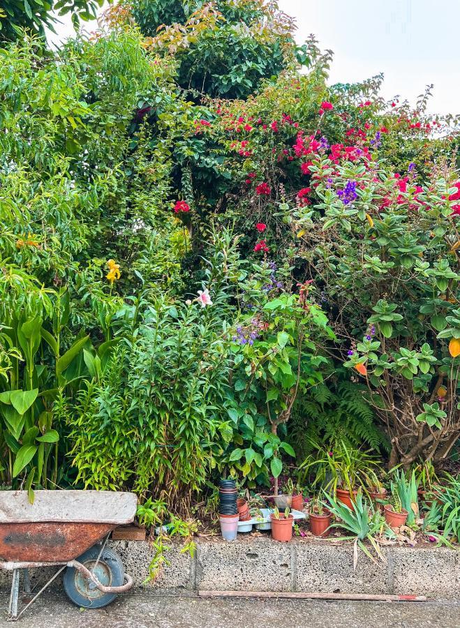 Apartment With Huge Deck Nestled In Marvelous Gardens - Nidos La Orotava Exterior foto