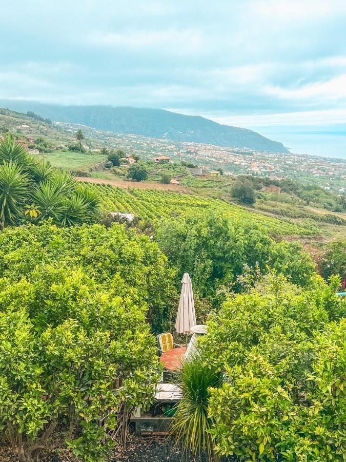 Apartment With Huge Deck Nestled In Marvelous Gardens - Nidos La Orotava Exterior foto